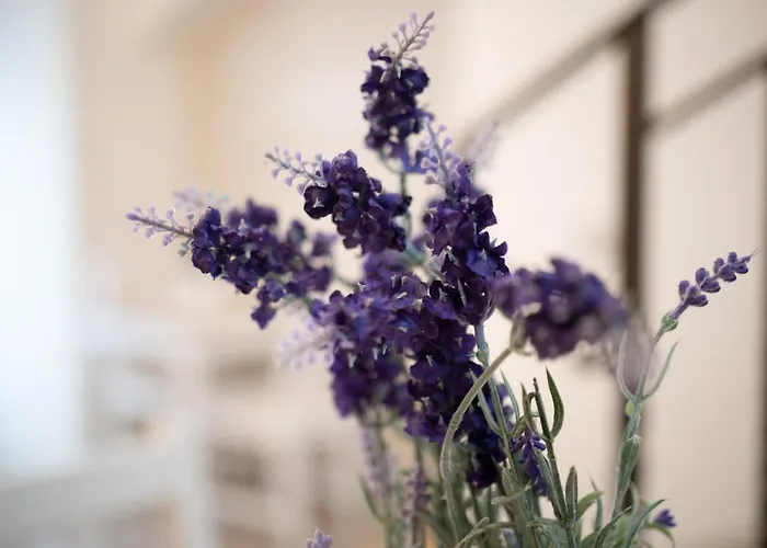 לינה וארוחת בוקר Essenza